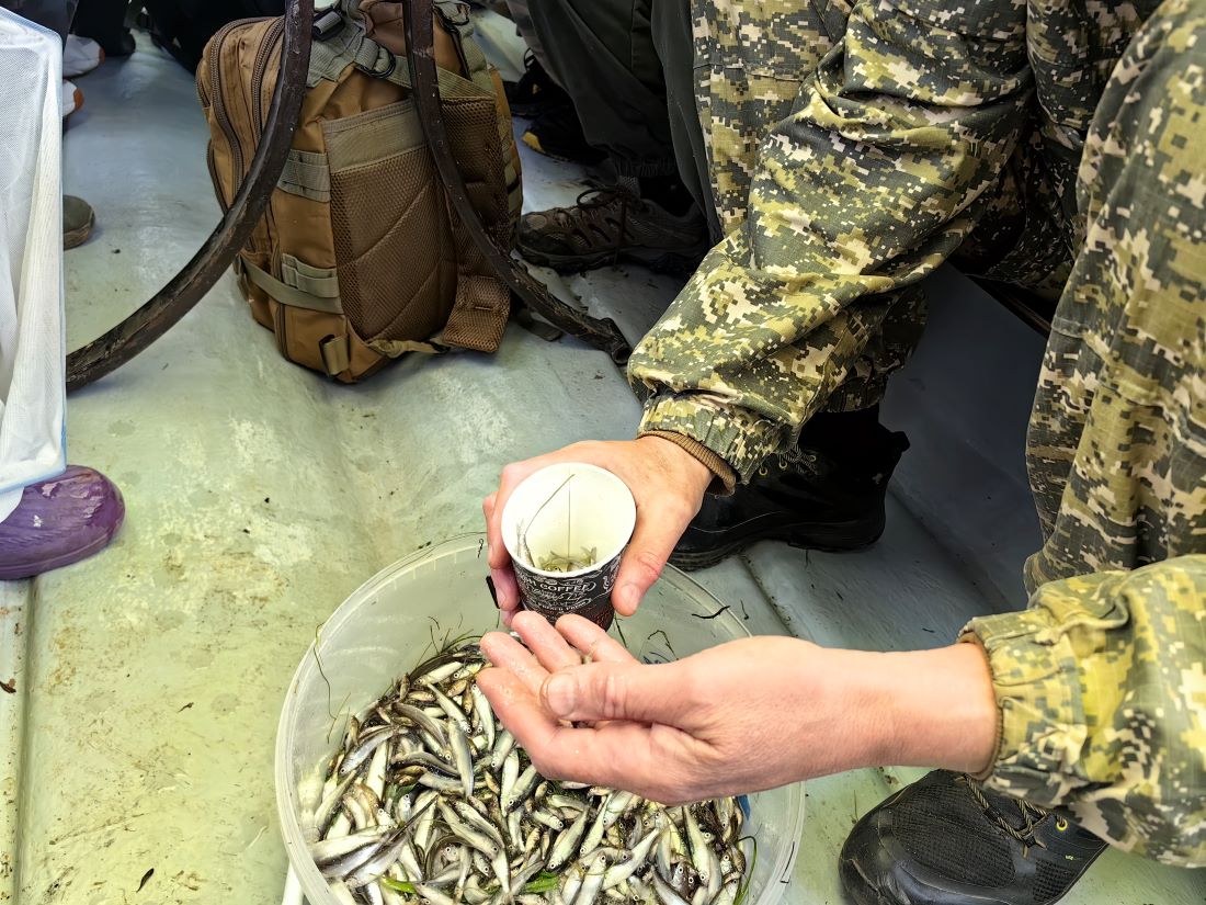 Дорожники Югры выполнили обязательства по сохранению водных биологических ресурсов 