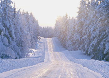 Информация о зимних автомобильных дорогах и ледовых переправах межмуниципального значения ХМАО-Югры